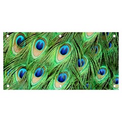 Peacock-green Banner And Sign 6  X 3  by nateshop