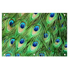 Peacock-green Banner And Sign 6  X 4 