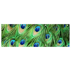 Peacock-green Banner And Sign 9  X 3  by nateshop