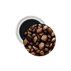 Coffe 1 75  Magnets by nateshop