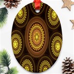 Fractal Oval Ornament (Two Sides) Front