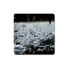  Rain Drops Water Liquid  Square Magnet by artworkshop