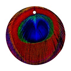 Red Peacock Plumage Fearher Bird Pattern Ornament (round) by Wegoenart