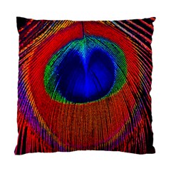 Red Peacock Plumage Fearher Bird Pattern Standard Cushion Case (two Sides) by Wegoenart