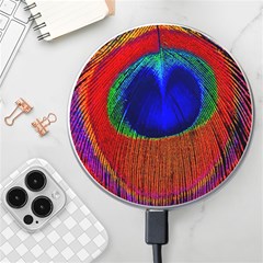 Red Peacock Plumage Fearher Bird Pattern Wireless Charger by Wegoenart