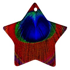 Red Peacock Plumage Fearher Bird Pattern Ornament (star) by Wegoenart