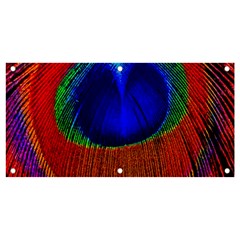 Red Peacock Plumage Fearher Bird Pattern Banner And Sign 4  X 2 