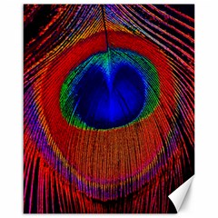 Red Peacock Plumage Fearher Bird Pattern Canvas 16  X 20  by Wegoenart