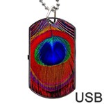 Red Peacock Plumage Fearher Bird Pattern Dog Tag USB Flash (Two Sides) Front