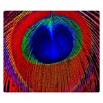 Red Peacock Plumage Fearher Bird Pattern Double Sided Flano Blanket (Small)  50 x40  Blanket Front