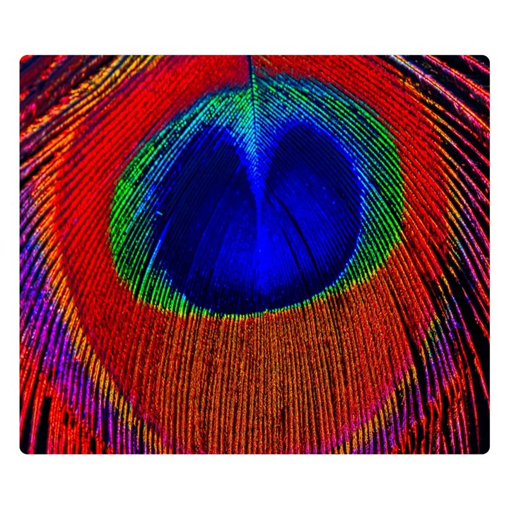 Red Peacock Plumage Fearher Bird Pattern Double Sided Flano Blanket (Small) 