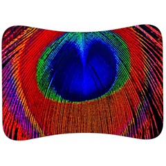 Red Peacock Plumage Fearher Bird Pattern Velour Seat Head Rest Cushion by Wegoenart