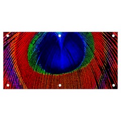 Red Peacock Plumage Fearher Bird Pattern Banner And Sign 6  X 3 