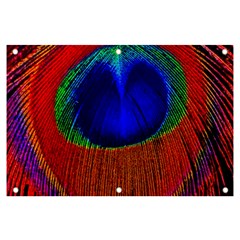 Red Peacock Plumage Fearher Bird Pattern Banner And Sign 6  X 4 