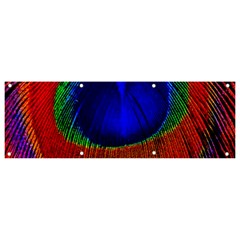 Red Peacock Plumage Fearher Bird Pattern Banner And Sign 9  X 3 