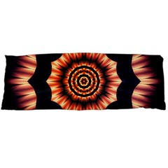 Digital Art Art Artwork Abstract Body Pillow Case (dakimakura)