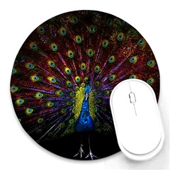 Beautiful Peacock Feather Round Mousepads by Jancukart