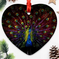 Beautiful Peacock Feather Ornament (heart)