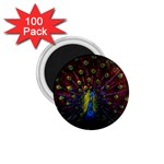 Beautiful Peacock Feather 1.75  Magnets (100 pack)  Front