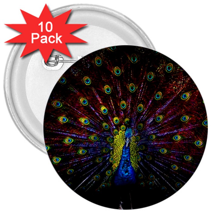 Beautiful Peacock Feather 3  Buttons (10 pack) 