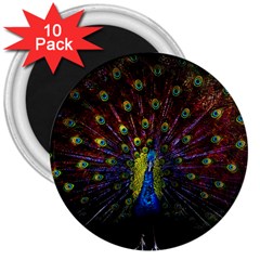 Beautiful Peacock Feather 3  Magnets (10 Pack)  by Jancukart