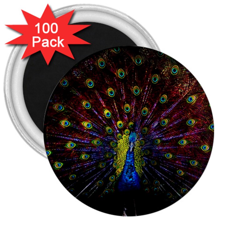 Beautiful Peacock Feather 3  Magnets (100 pack)