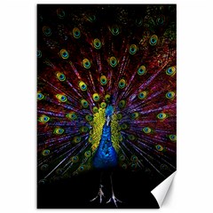 Beautiful Peacock Feather Canvas 12  X 18 