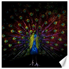 Beautiful Peacock Feather Canvas 16  X 16  by Jancukart