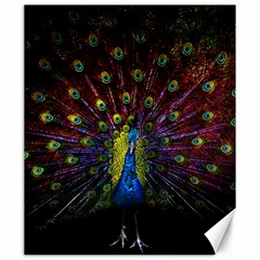 Beautiful Peacock Feather Canvas 20  X 24  by Jancukart