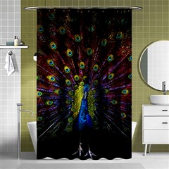 Beautiful Peacock Feather Shower Curtain 48  X 72  (small) 