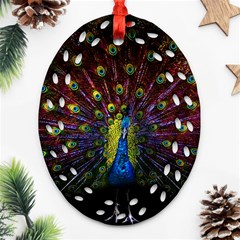 Beautiful Peacock Feather Ornament (oval Filigree)