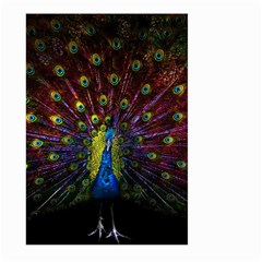 Beautiful Peacock Feather Large Garden Flag (two Sides) by Jancukart