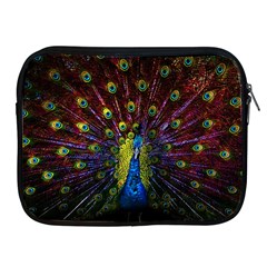 Beautiful Peacock Feather Apple Ipad 2/3/4 Zipper Cases