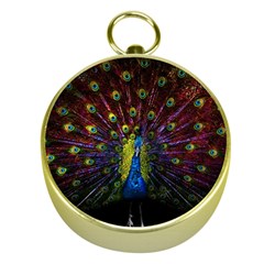 Beautiful Peacock Feather Gold Compasses by Jancukart