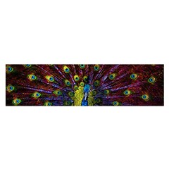 Beautiful Peacock Feather Oblong Satin Scarf (16  X 60 )