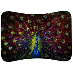 Beautiful Peacock Feather Velour Seat Head Rest Cushion