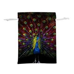 Beautiful Peacock Feather Lightweight Drawstring Pouch (l)