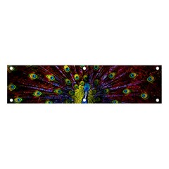 Beautiful Peacock Feather Banner And Sign 4  X 1  by Jancukart