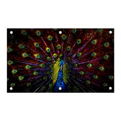 Beautiful Peacock Feather Banner And Sign 5  X 3  by Jancukart