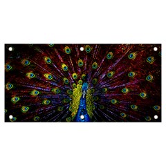 Beautiful Peacock Feather Banner And Sign 6  X 3  by Jancukart