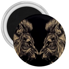 Animalsangry Male Lions Conflict 3  Magnets