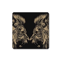 Animalsangry Male Lions Conflict Square Magnet