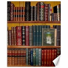 Books Library Bookshelf Bookshop Canvas 16  X 20 