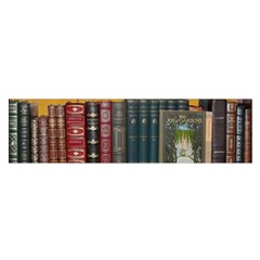 Books Library Bookshelf Bookshop Oblong Satin Scarf (16  X 60 )