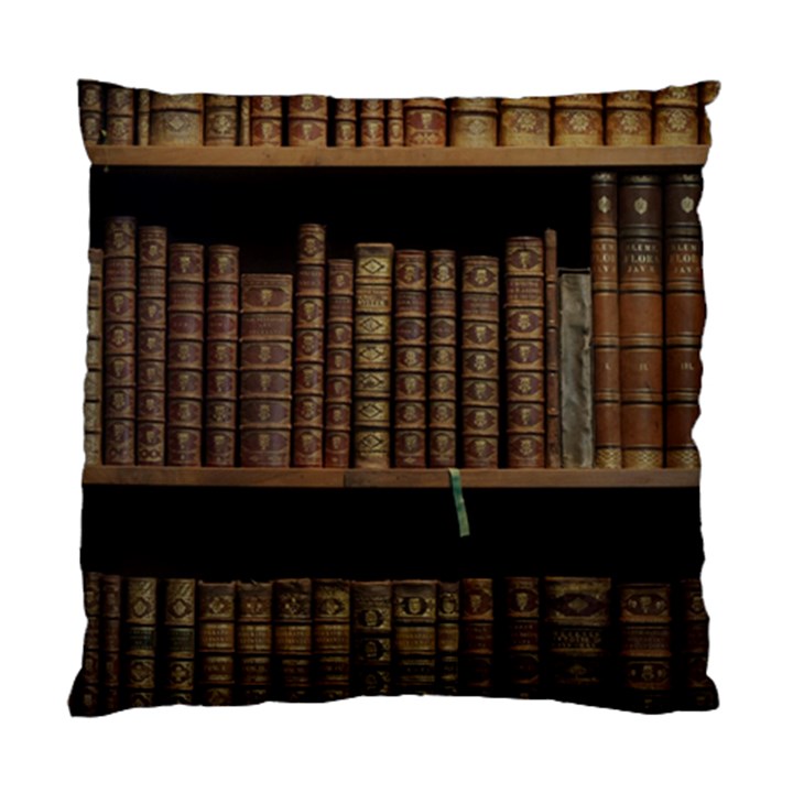 Books Covers Book Case Old Library Standard Cushion Case (One Side)