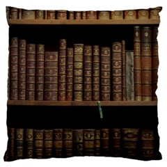 Books Covers Book Case Old Library Large Cushion Case (one Side) by Amaryn4rt