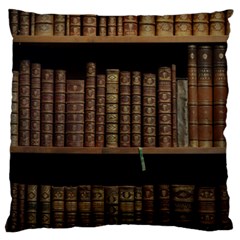 Books Covers Book Case Old Library Standard Flano Cushion Case (one Side) by Amaryn4rt