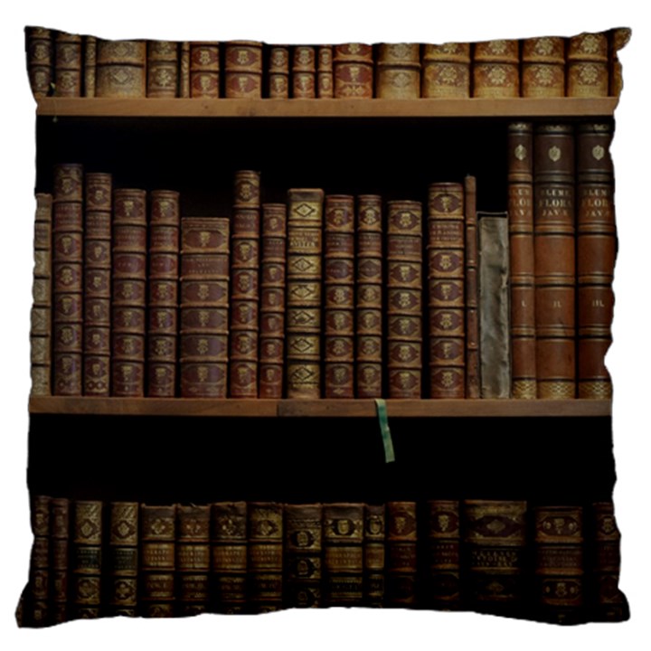 Books Covers Book Case Old Library Large Flano Cushion Case (One Side)