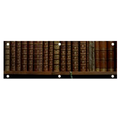 Books Covers Book Case Old Library Banner And Sign 6  X 2  by Amaryn4rt