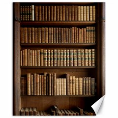 Books Bookcase Old Books Historical Canvas 16  X 20  by Amaryn4rt